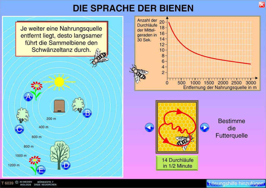 read die bybel